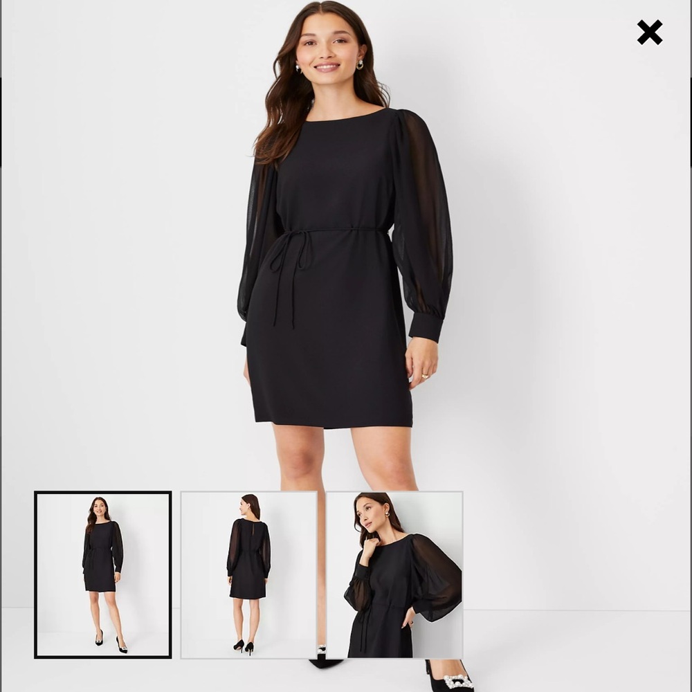 New Chiffon sleeve belted dress